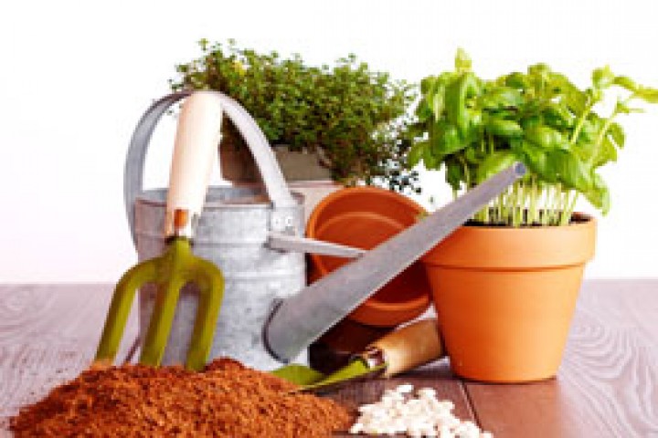 photo shows gardening items like watering can seed growing media plants garden fork and scoop
